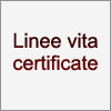linee vita certificate